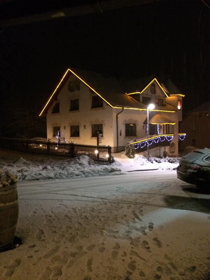 Hotel Alpenhof Markneukirchen Zewnętrze zdjęcie