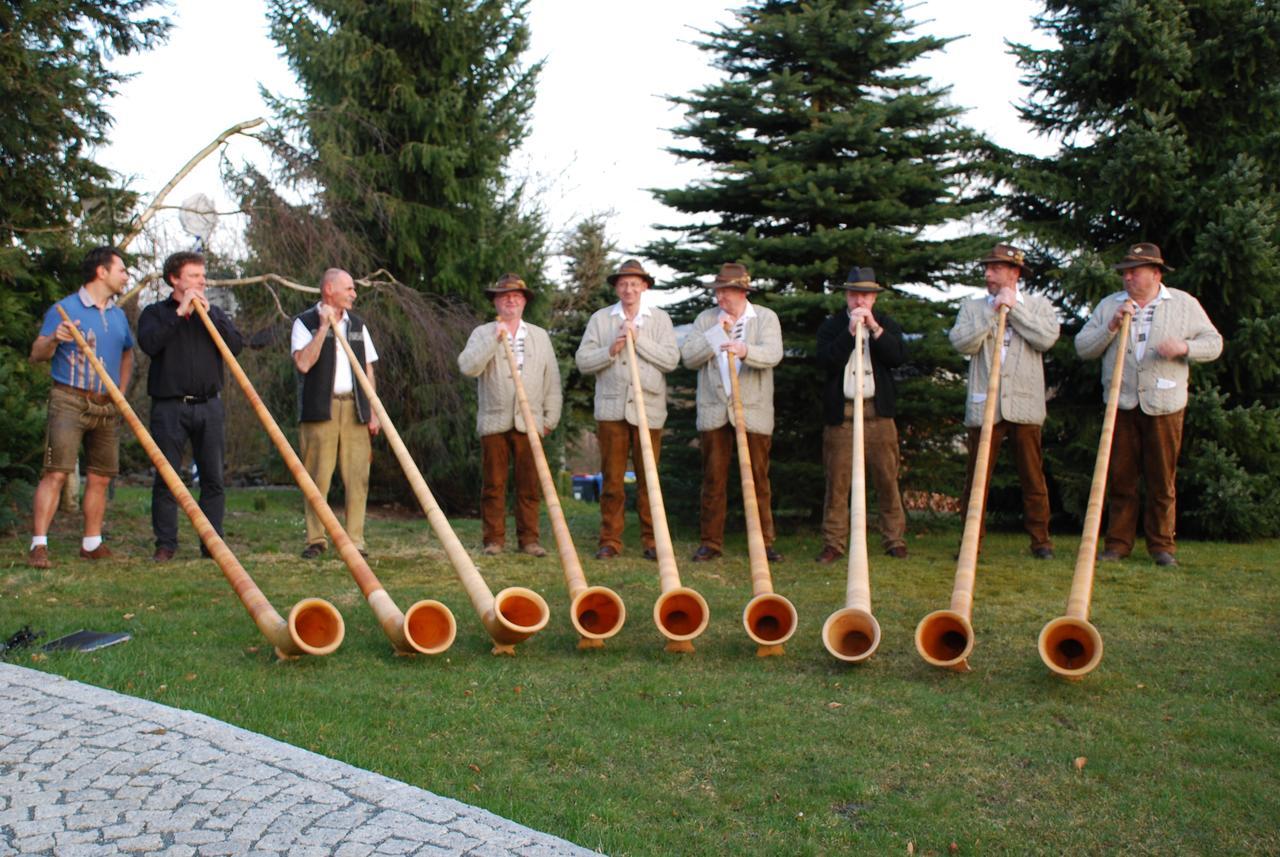Hotel Alpenhof Markneukirchen Zewnętrze zdjęcie